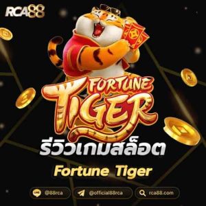 Fortune Tiger